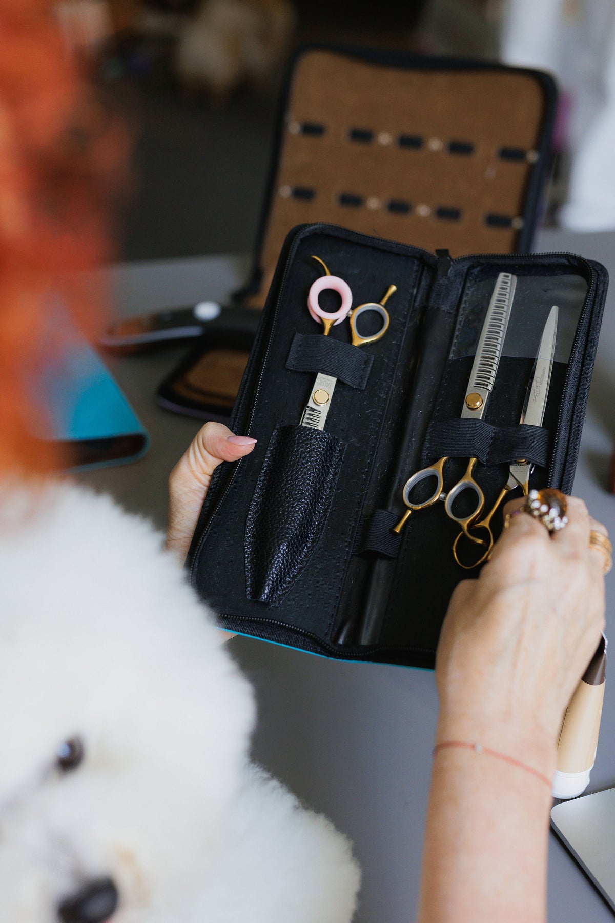Professional grooming equipment