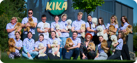 Kika Group Image