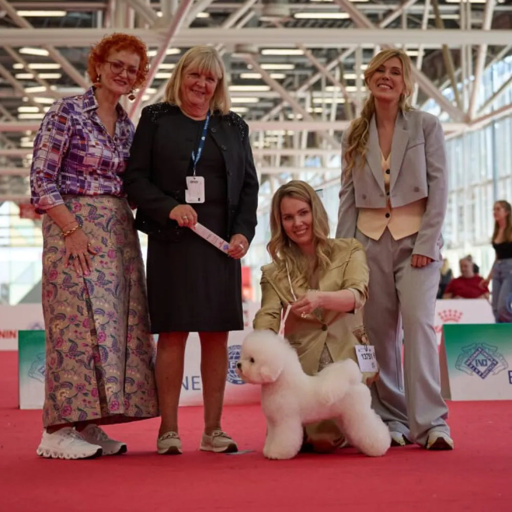 An Exhibition Moment: The US and Helsinki