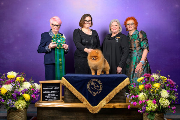 Pomeranian Rankings in the United States