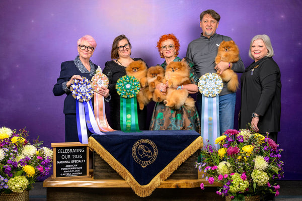 American Pomeranian Club (APC) National Specialty Show Results
