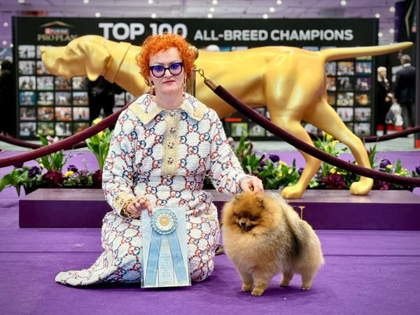 Westminster Dog Show, New York