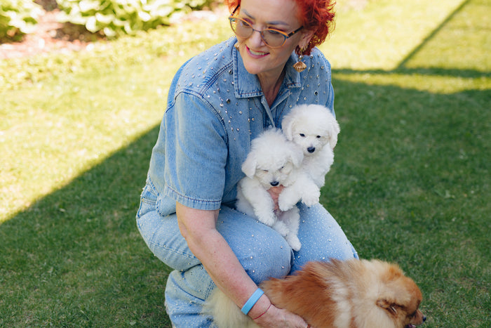 Archival: Poodle Club and Shows