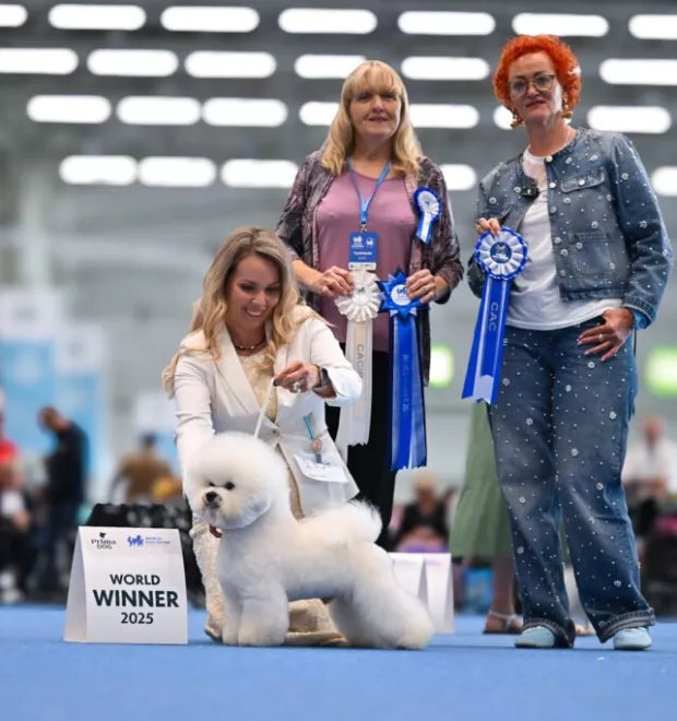 Tauro Kennel JP Karun