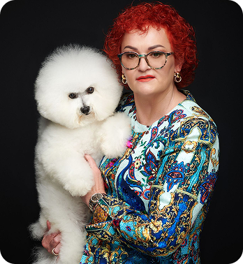 Bichon Frisé