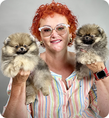 Pomeranian